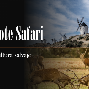 Quijote Safari español